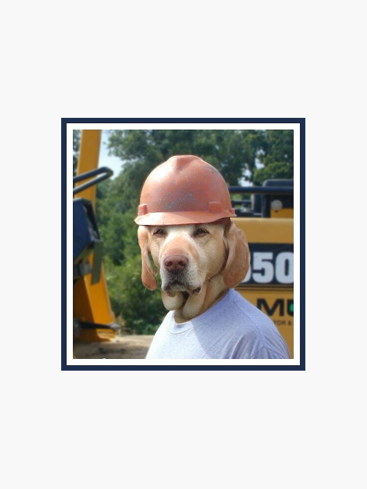 "Hard Hat Dog" Sticker for Sale by KingOfDogs Redbubble