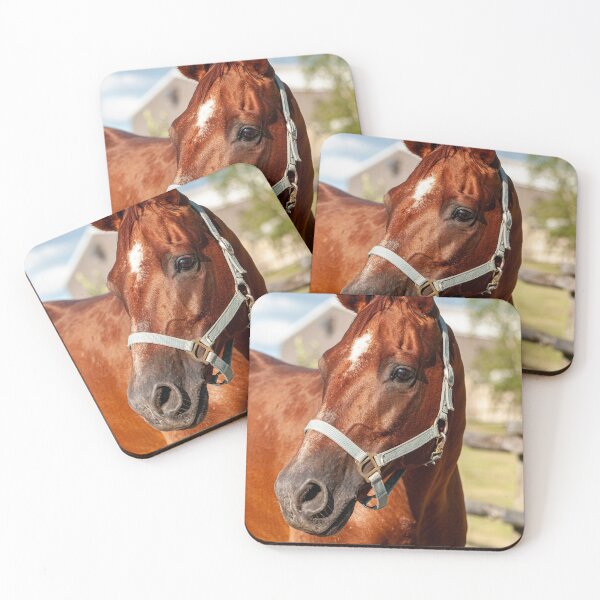 Item preview, Horse Portrait designed and sold by Michael Cummings.