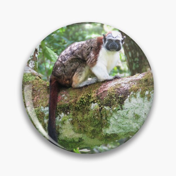 Item preview, Spunky Monkey designed and sold by julyperson.