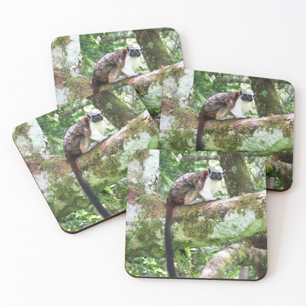 Item preview, Spunky Monkey designed and sold by julyperson.