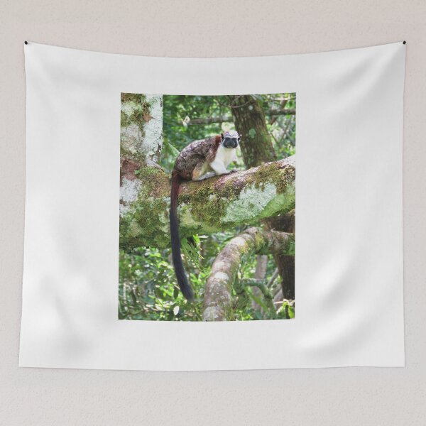 Item preview, Spunky Monkey designed and sold by julyperson.