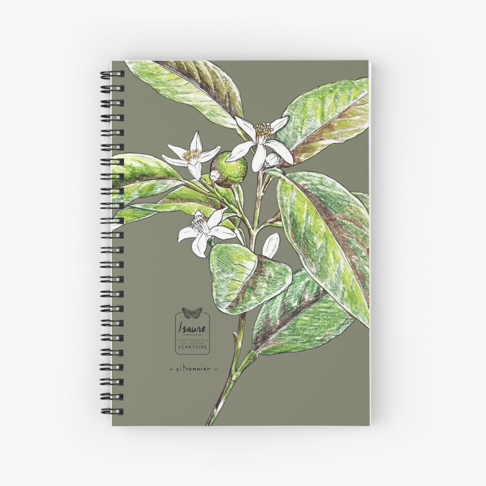 Aperçu de l'œuvre Cahier à spirale créée et vendue par IsaureEcartfixe.