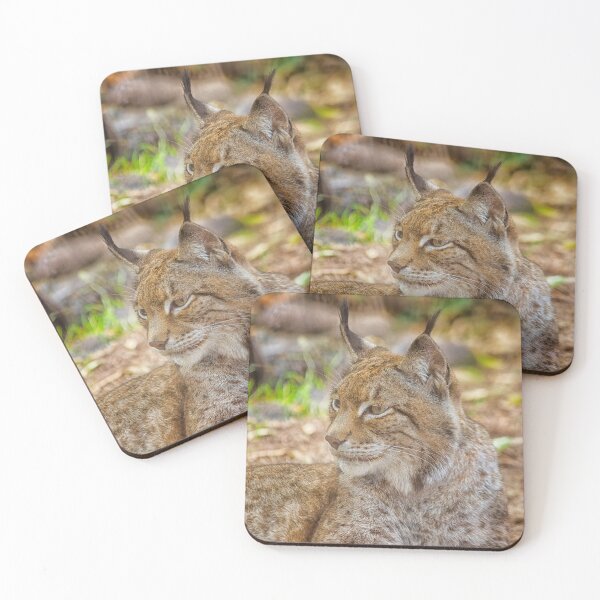 Item preview, Lynx in close up designed and sold by Photopat.