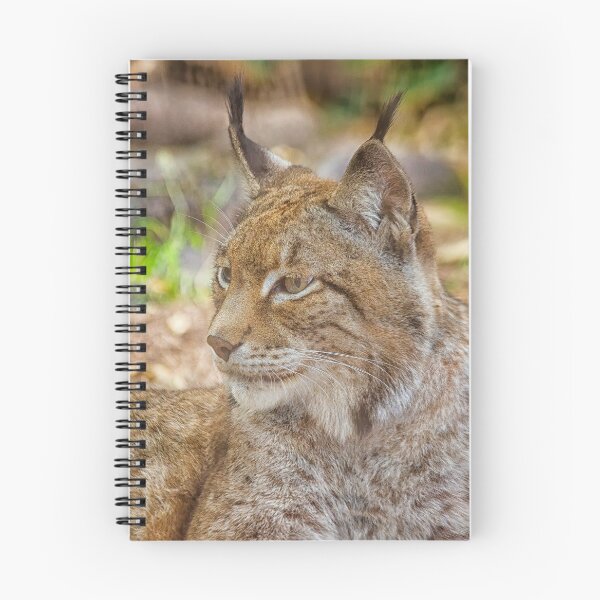 Artikelvorschau, Luchs in Nahaufnahme entworfen und verkauft von Photopat.