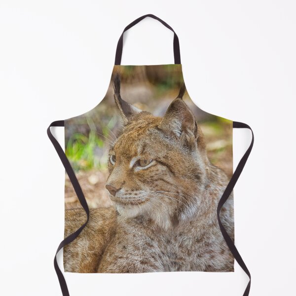 Item preview, Lynx in close up designed and sold by Photopat.