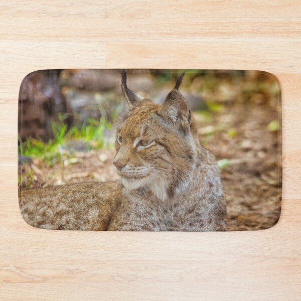Item preview, Lynx in close up designed and sold by Photopat.
