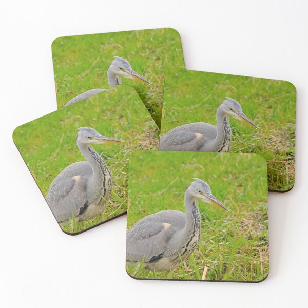Item preview, A young grey heron standing in a meadow designed and sold by xophotography.