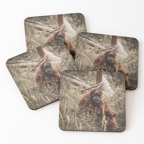Item preview, Orange orangutans hugging each other designed and sold by Natasha Greene.