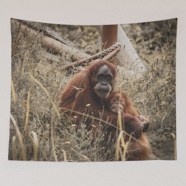 Item preview, Orange orangutans hugging each other designed and sold by Natasha Greene.
