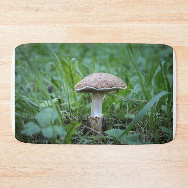 Item preview, Fictional mycology: Christmas macaroon dough, mushroom. designed and sold by Volker Schütz.