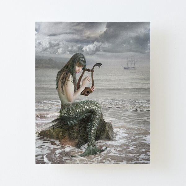 Canvas Mounted Print