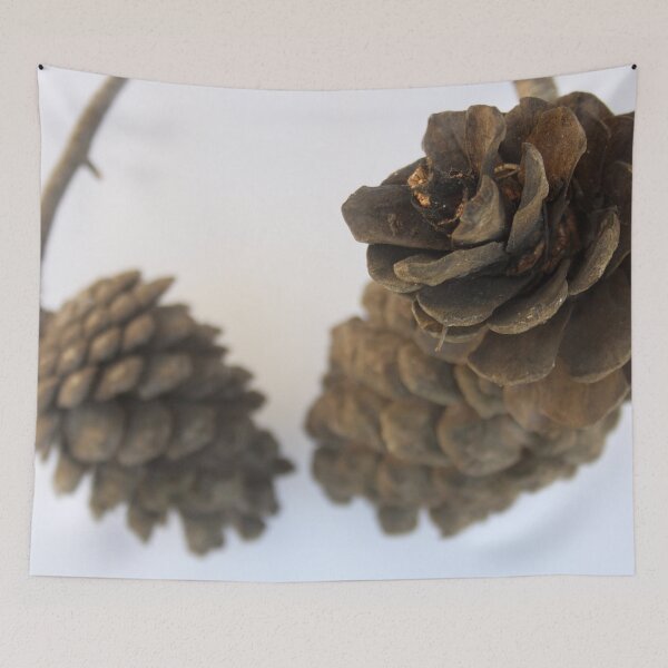 Item preview, Pinecones Photograph designed and sold by taiche.