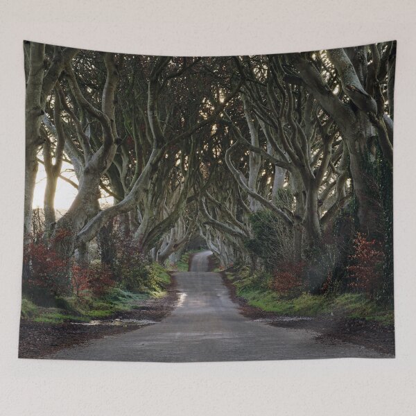 Item preview, The Dark Hedges designed and sold by NavorolArt.