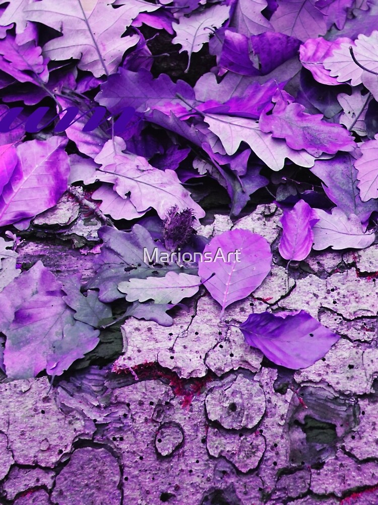 Leaves and bark in purple - the little beauties of nature by MarionsArt