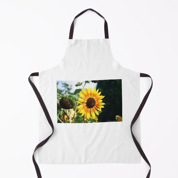 Item preview, Sunflower (35mm photography) designed and sold by John Guppy.