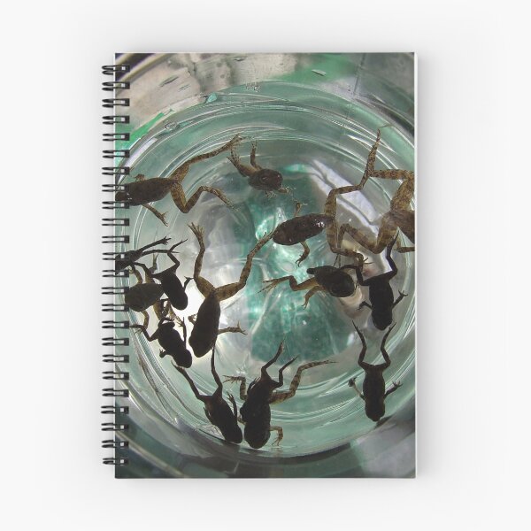 Item preview, Frog playground by the river... designed and sold by Sotiris Papadimas.