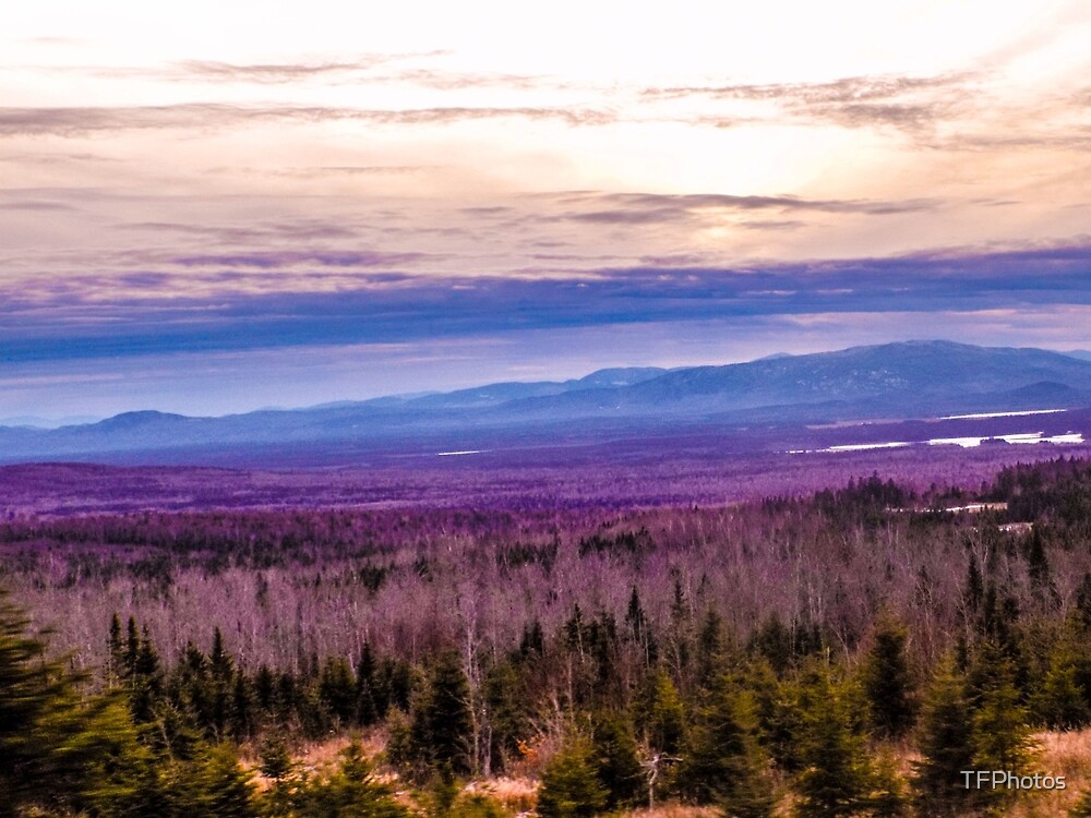 "Wood Pond in Jackman, Maine" by TFPhotos Redbubble