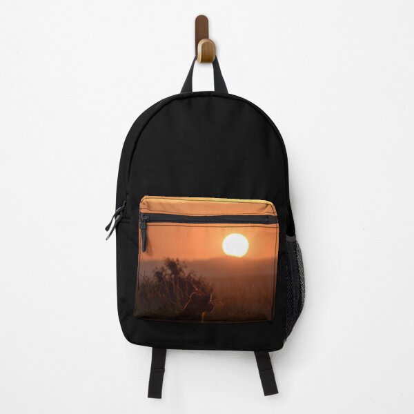 Item preview, Lion cub looking at the sunrise in Kenya designed and sold by C-B-Stuedal.