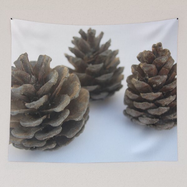 Item preview, Minimal Pinecones Photograph designed and sold by taiche.