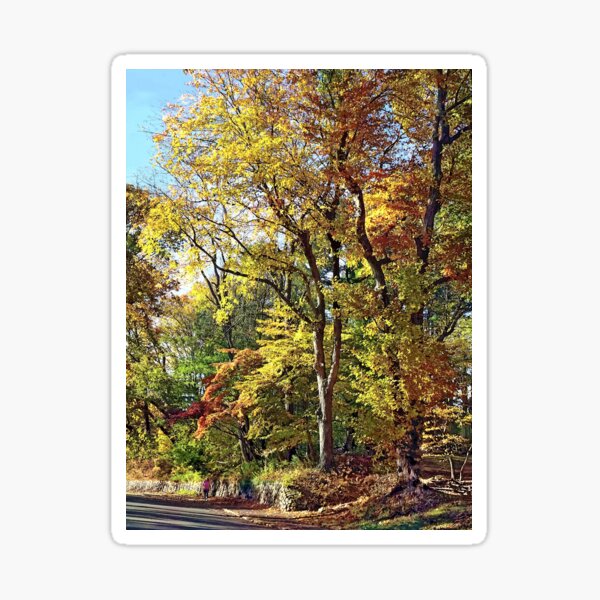Item preview, Mountainside NJ - Autumn Stroll designed and sold by Susan Savad.
