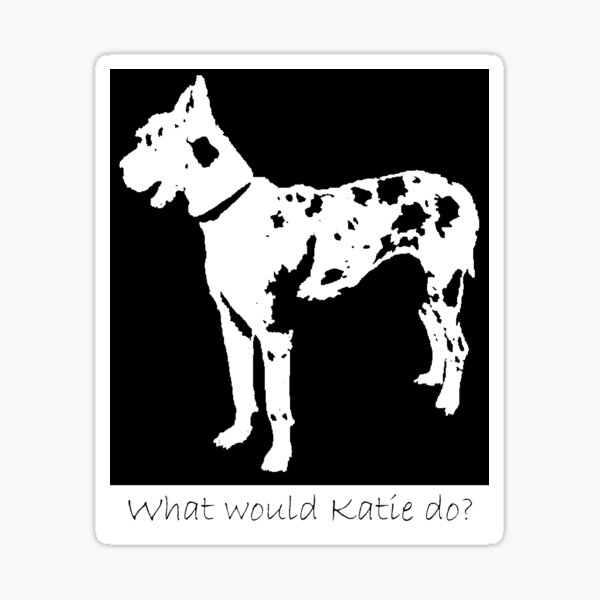 What would Katie do? The Worth of a Dog Sticker