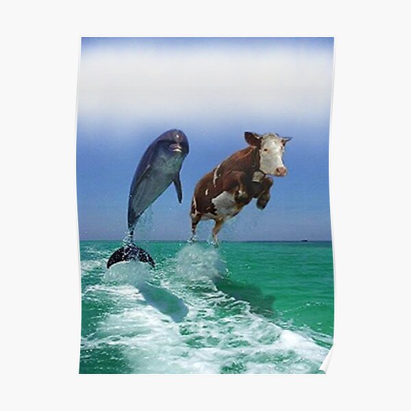 My Image 12