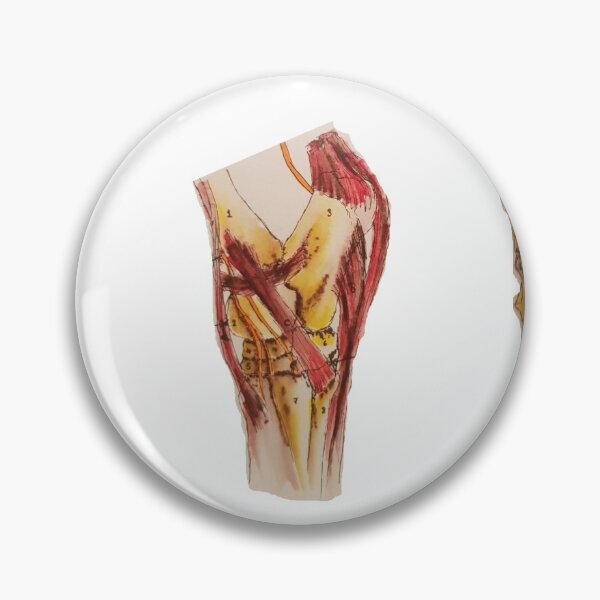 Item preview, Limb Anatomy designed and sold by Becsdoodles.