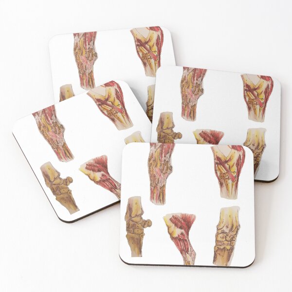 Item preview, Limb Anatomy designed and sold by Becsdoodles.