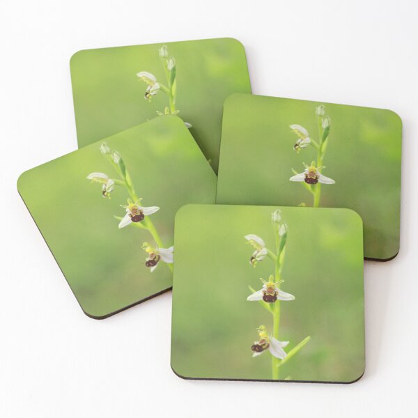 Item preview, Bee orchid blooming designed and sold by miradorpictures.
