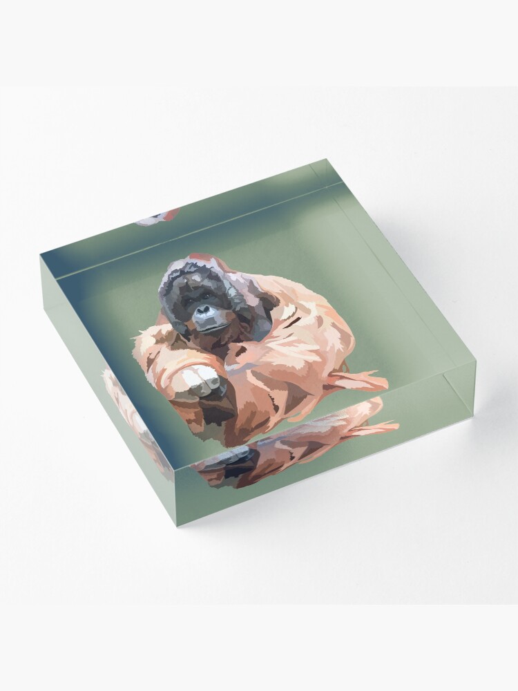 Alternate view of O is for Orangutan Acrylic Block