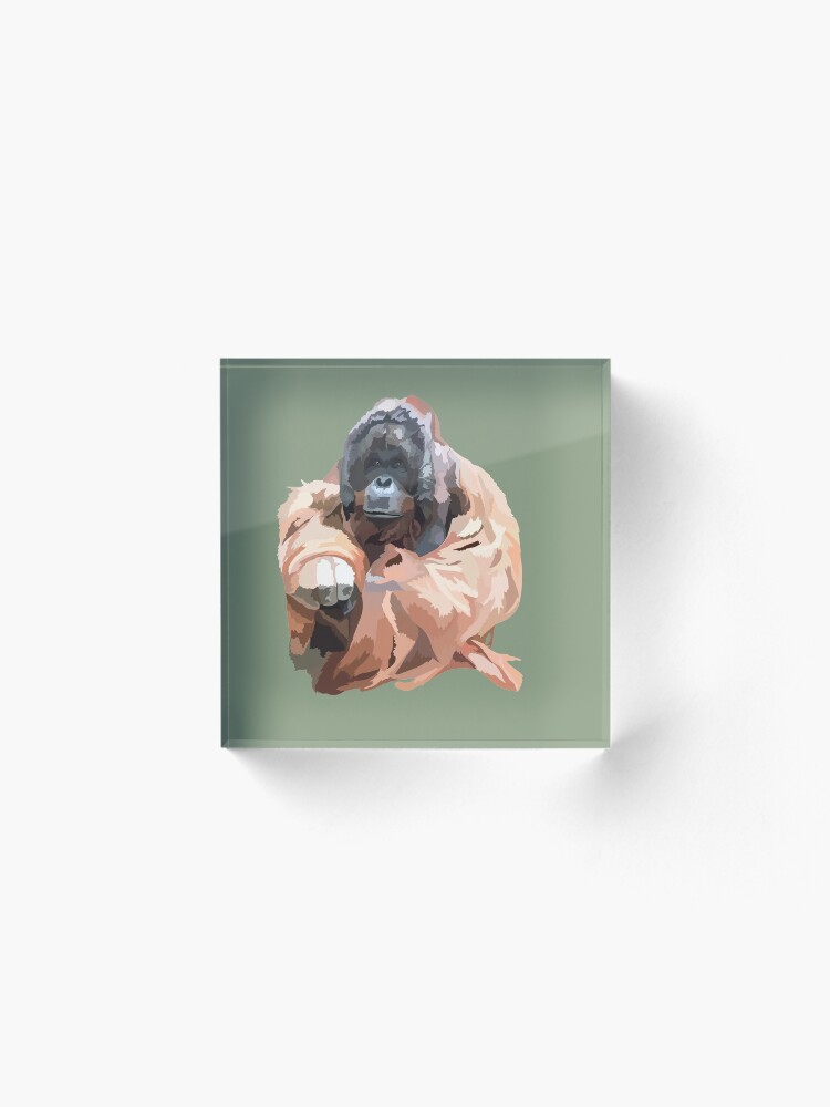 Alternate view of O is for Orangutan Acrylic Block