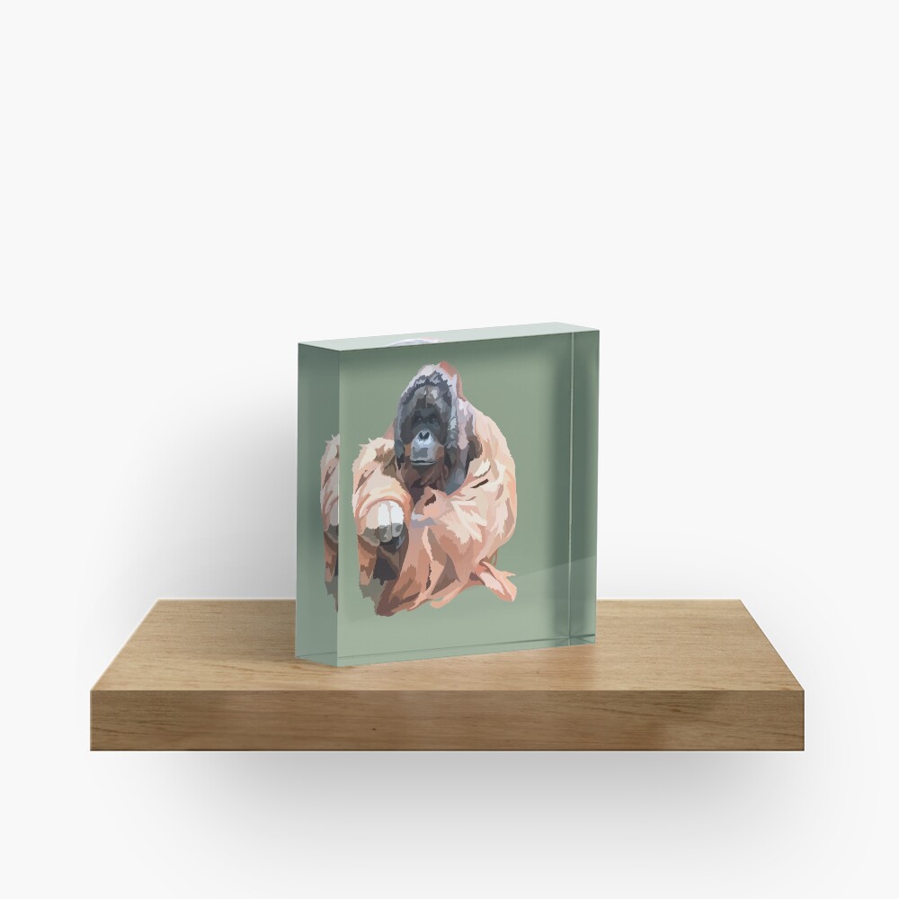 O is for Orangutan Acrylic Block