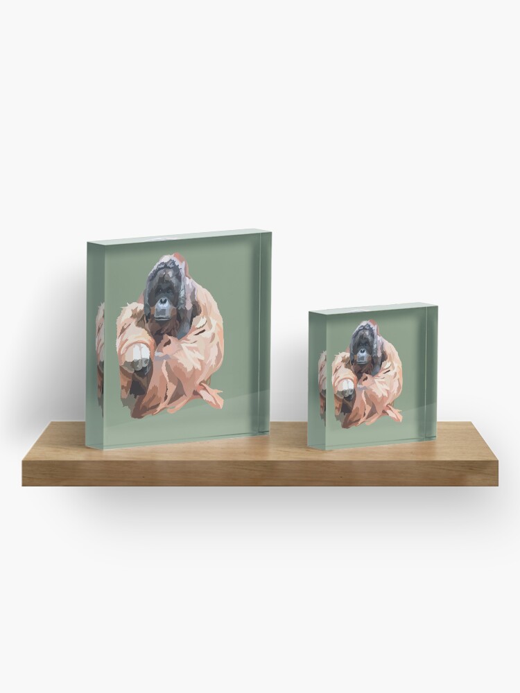 Alternate view of O is for Orangutan Acrylic Block