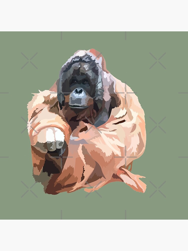 O is for Orangutan by thezoogirl