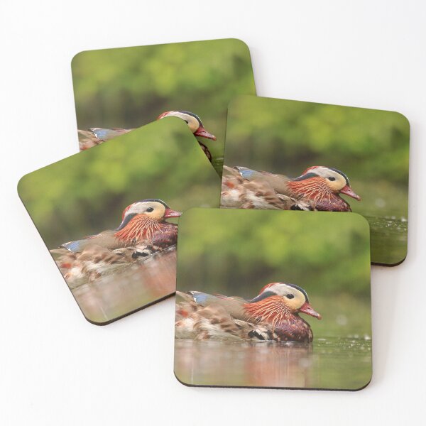 Item preview, Magnificent Mandarin duck designed and sold by miradorpictures.