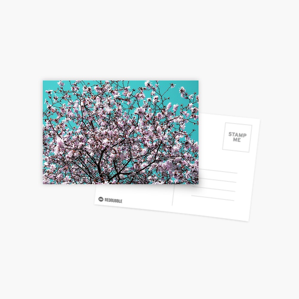 Daint Postcard