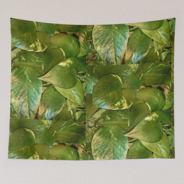 Item preview, Pothos designed and sold by Joy  Rector.