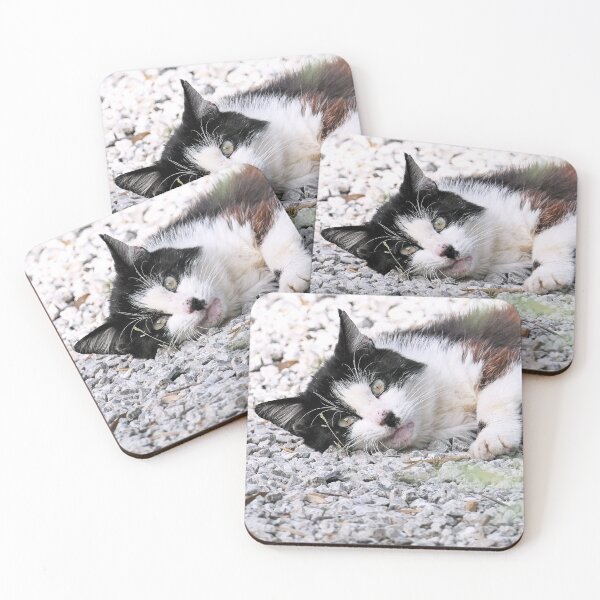Item preview, r 2542/ 11 Chat-Cat " Hommage à Félix, un Courageux chat de la Rue " finition 2020 par Okaio Créations - Olavia&Olao designed and sold by o.okaïo.