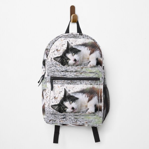 Item preview, r 2542/ 11 Chat-Cat " Hommage à Félix, un Courageux chat de la Rue " finition 2020 par Okaio Créations - Olavia&Olao designed and sold by o.okaïo.