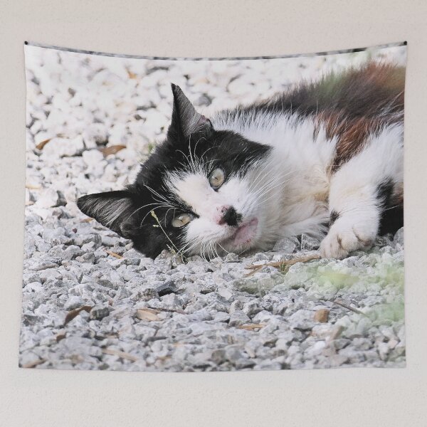 Item preview, r 2542/ 11 Chat-Cat " Hommage à Félix, un Courageux chat de la Rue " finition 2020 par Okaio Créations - Olavia&Olao designed and sold by o.okaïo.