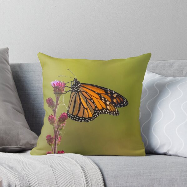 Item preview, Monarch And Blazing Star 2014-2 designed and sold by Thomasyoung.