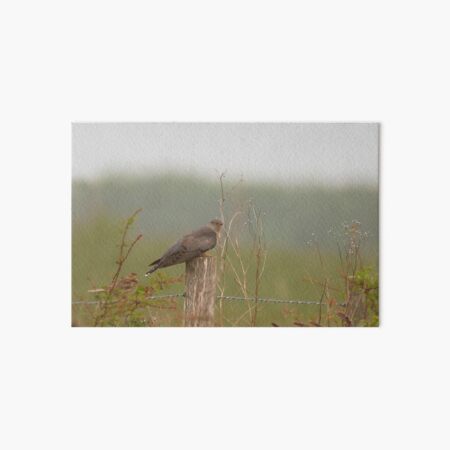 Lookout Art Board Print