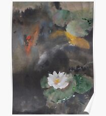 Pond Study Poster
