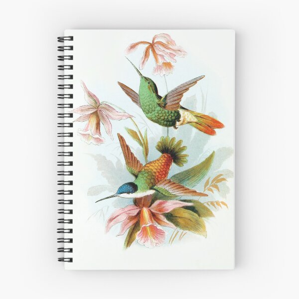 Item preview, Colibri Bird Vintage Art designed and sold by mathieugrabels.