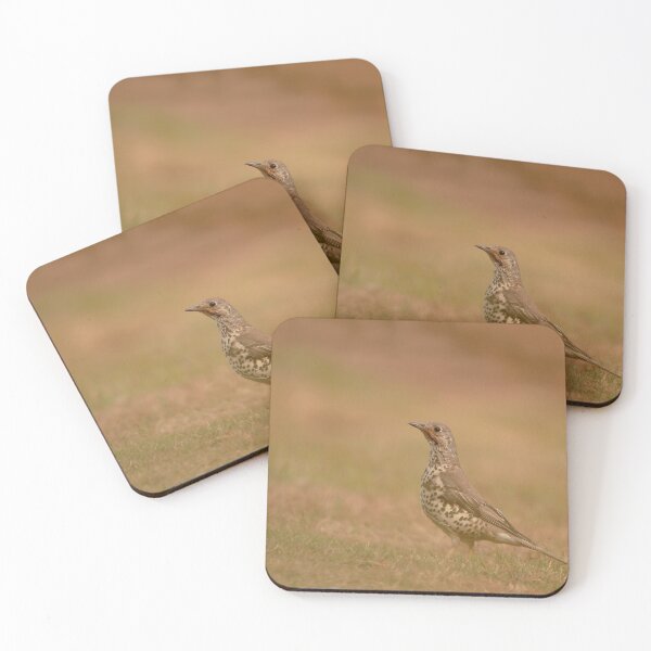 Item preview, Mistle thrush  designed and sold by miradorpictures.