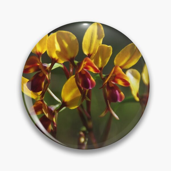 Item preview, Diuris magnifica (Donkey Orchid)  designed and sold by lezvee.