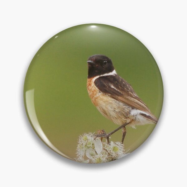 Item preview, Turning heads ! designed and sold by miradorpictures.