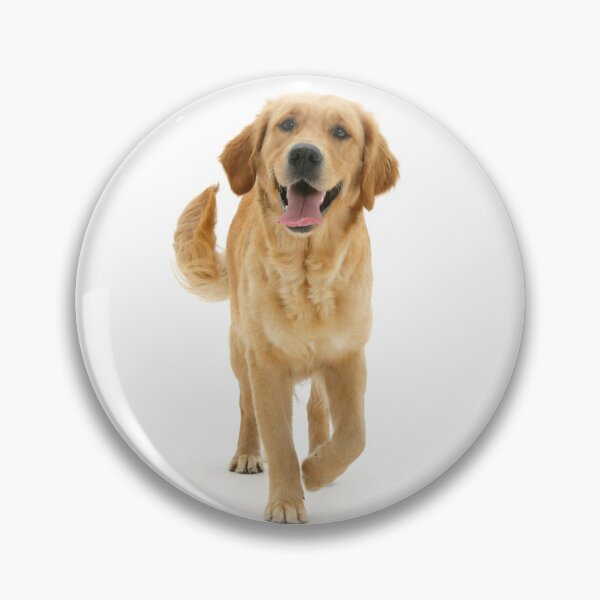 Artikelvorschau, Glücklicher goldener Retriever entworfen und verkauft von Warren  Photographic.