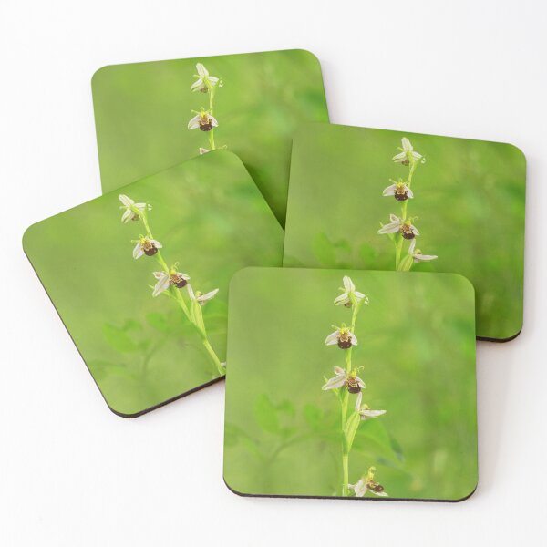 Item preview, Bright bee orchid designed and sold by miradorpictures.