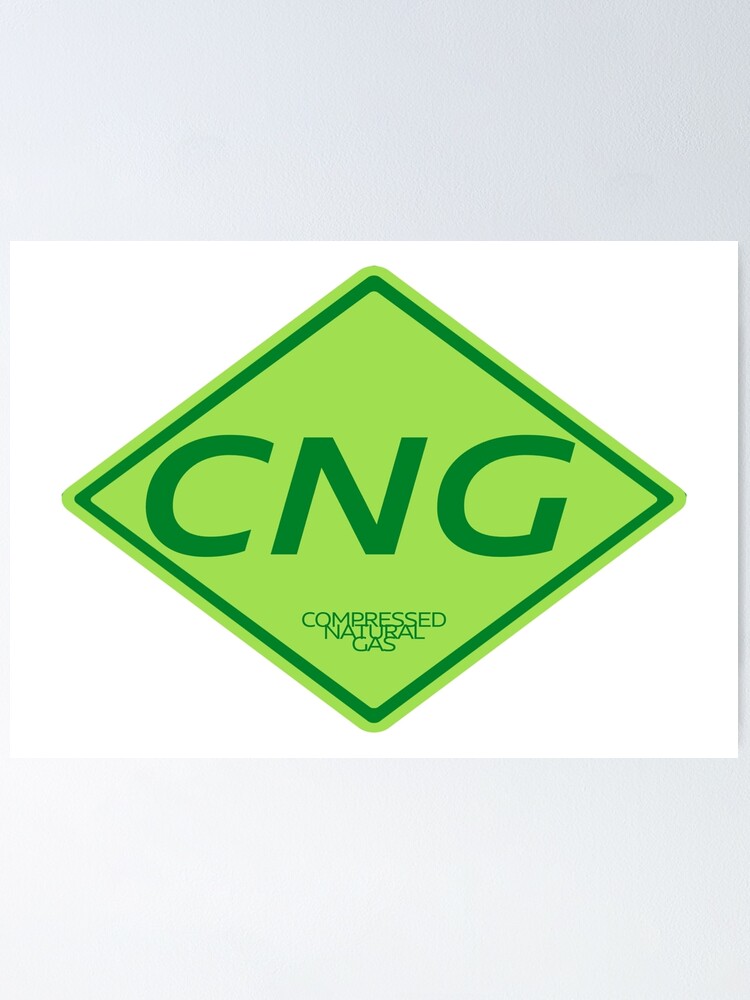 5 cars we wished were offered with CNG » MotorOctane